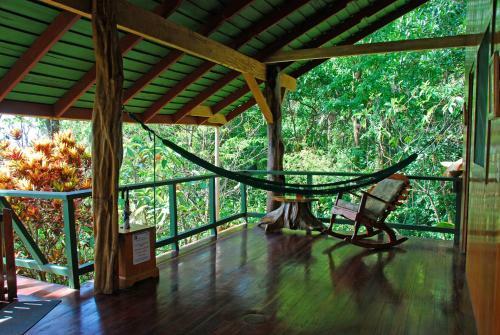 Hotel Tiskita Jungle Lodge