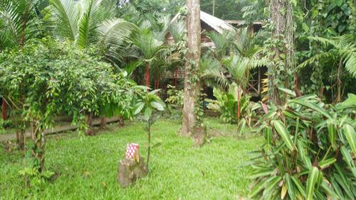 Kilima Selva Y Mar