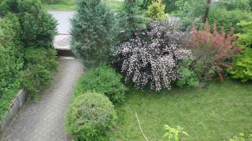 Hostal Ubytov�n� U Dolansk�ch
