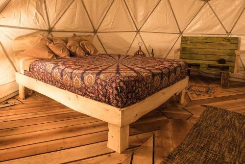 Lodge Surf Camp Dreamsea