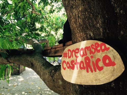 Lodge Surf Camp Dreamsea