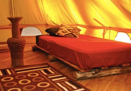 Lodge Surf Camp Dreamsea