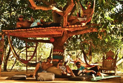 Lodge Surf Camp Dreamsea