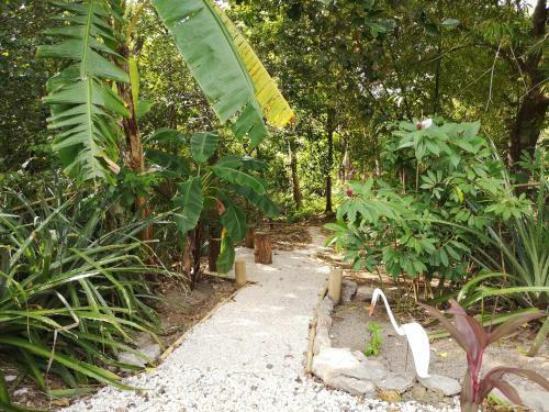 Bed & Breakfast Antema Lodge