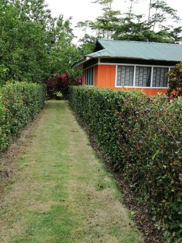 Hotel Ecomanglares Sierpe Lodge