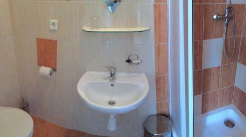 Hostal Penzion Rozkvet