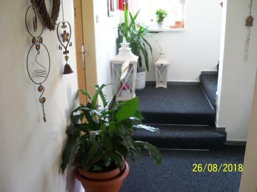 Hostal Penzion IV
