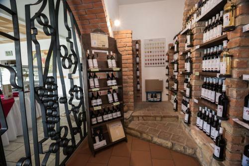 Hostal Penzion Patria Kobyli