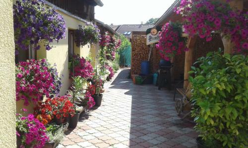 Hostal Penzion Many Peny