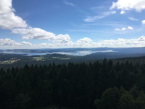 Apartm�n ?estka