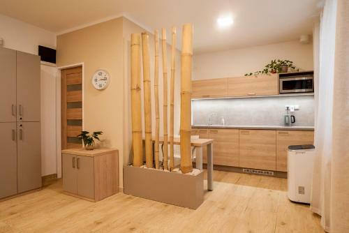 Apartamento Hotelov� D?m T?inec