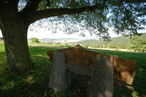 Holiday Home Stechovice/b�hmerwald 1527