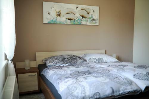 Hostal Penzion Sokolsk�