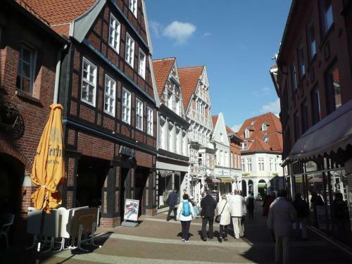 Hotel Premium_ferienhaus Elbstar Im Feri