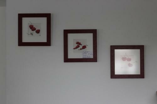 Apartamento Zippel's Ferienwohnung