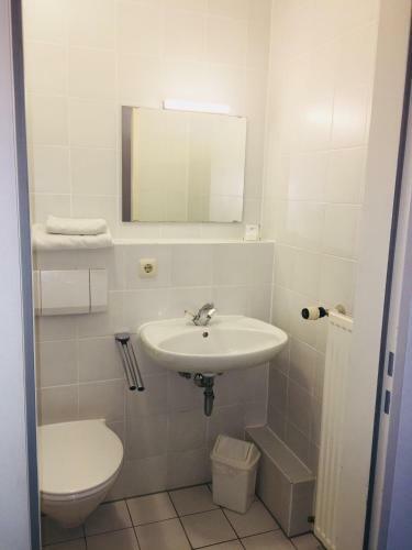 Hotel Gr�ner Hirsch