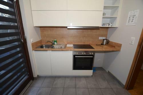 Apartment Bad Canstatt