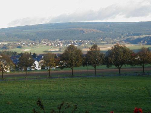 Hostal Hotel Wildenburger Hof