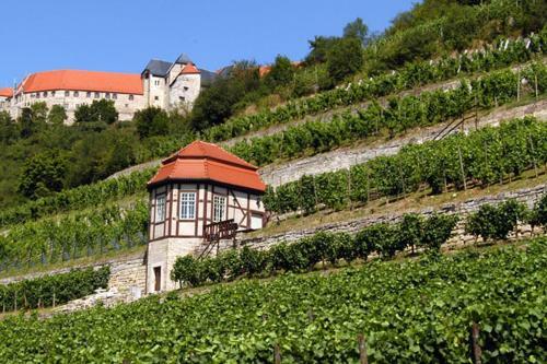 Hostal Hotel Pension Geiseltal- See M�cheln