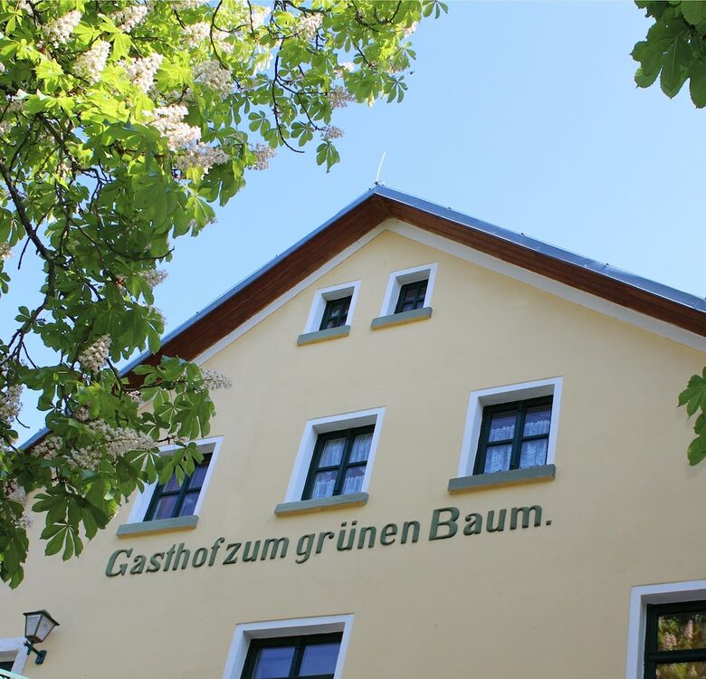 Landhotel Zum Gr�nen Baum