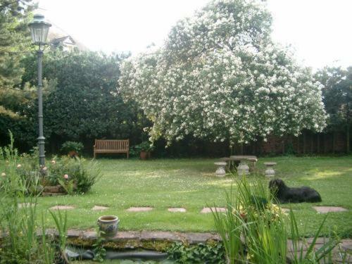 Hostal Bastgen Bed & Breakfast