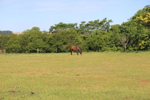 Agroturismo Pousada Do S�tio Preserva
