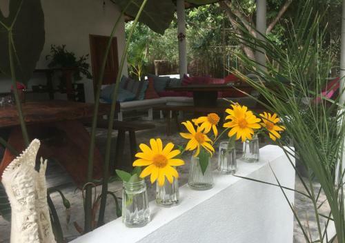 Hostal Pousada Roana