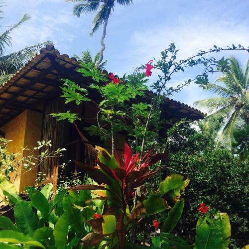 Hostal Pousada Too Cool