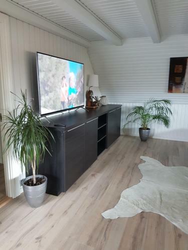 Apartamento Surfers Lounge