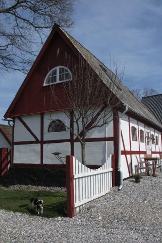 Jungshoved Pr�steg�rd B&B