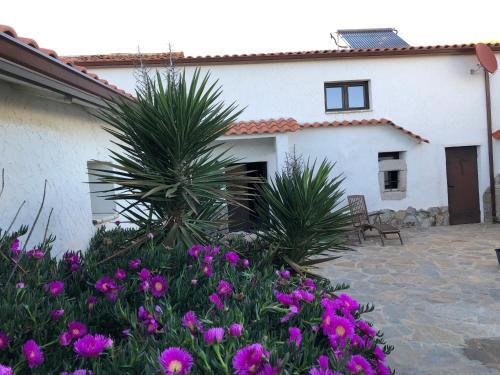 Agroturismo Los Olivos