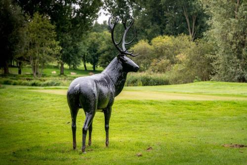 Bed & Breakfast Le Pavillon Du Golf D'arras