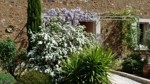 Bed & Breakfast Chambre D?h�tes Nature Et Saveurs