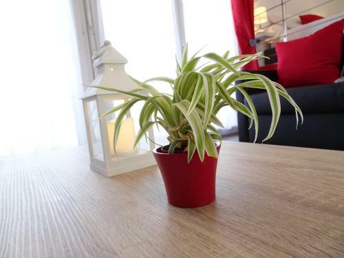 Apartamento La Marquise - Montpensier