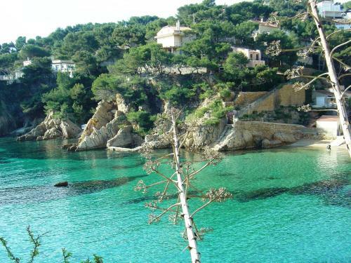 Hostal La Palmeraie Des Calanques
