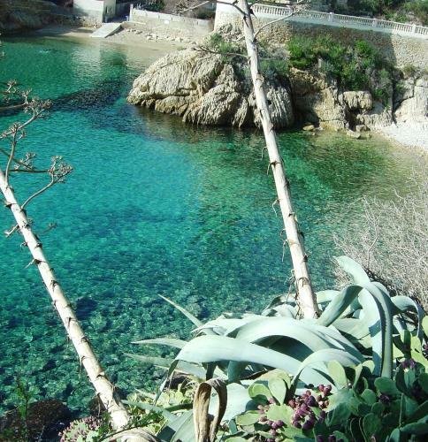 Hostal La Palmeraie Des Calanques