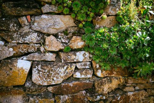 Bed & Breakfast Manoir Du Bois De Grez