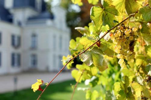 Agroturismo Jaulnay Chateau Sleeps 14 Pool Wifi