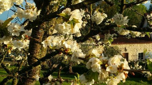 G�t'h�tel Domaine Gavarnie
