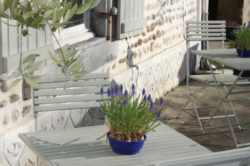 Hostal Vintage Vert