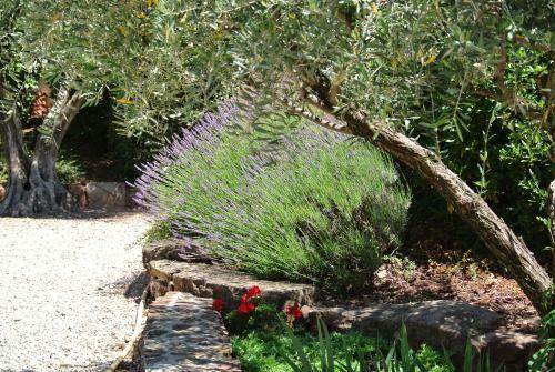 The G�te Moulin Au Viala Du Bosc 34700