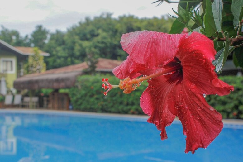 Apartamento Recanto Da Mata