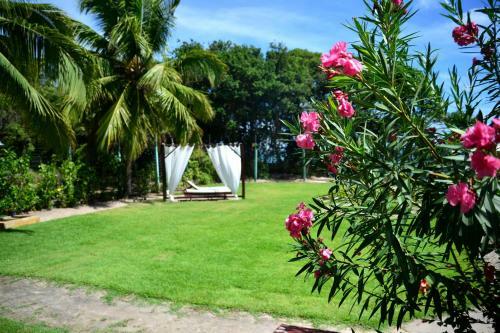 Hostal Pousada Enseada Dos Golfinhos