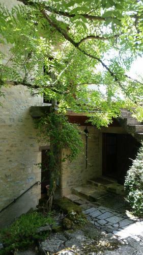 Bed & Breakfast Aurifat