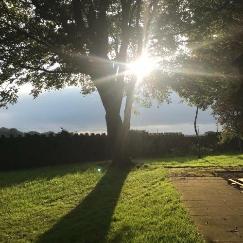 The Dalesbridge Campsite And Cabins