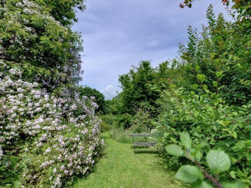 Charming Cottage In Mountfield Kent Surrounded By Vineyards
