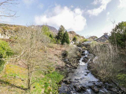 Bryn Alun