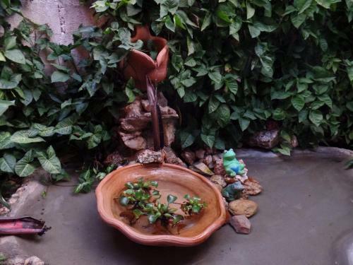 Hostal Pousada Shangril�
