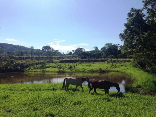 �guas Vivas Hotel Fazenda