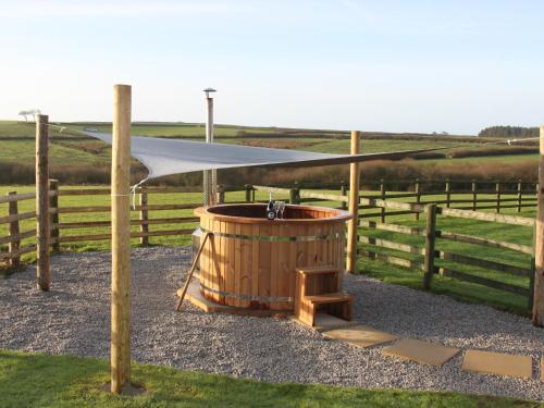 Higher Forda, Holsworthy